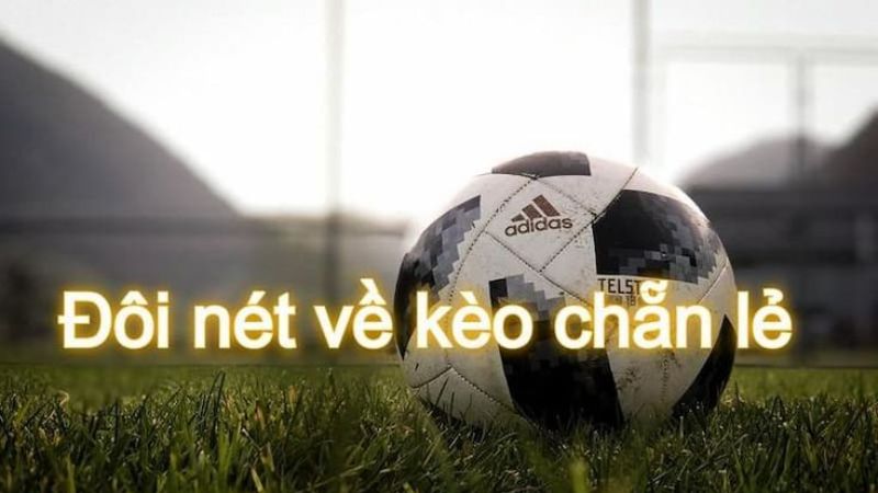 Giới thiệu vài điều đặc biệt về kèo chẵn lẻ