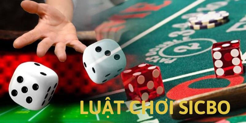 Hiểu rõ các thuật ngữ sẽ giúp bạn nâng cao trải nghiệm